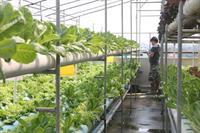सराय Bansabai Hostelling International Bangkok